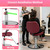 BestMassage Hydraulic Reclining Barber Chair Burgundy, Heavy Duty All Purpose Salon Chair with Adjustable Headrest Footrest and Hydraulic Pump
