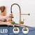 DJS LED Kitchen Sink Faucet Pull Down Sprayer Single Handle Brushed Gold