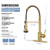 DJS LED Kitchen Sink Faucet Pull Down Sprayer Single Handle Brushed Gold