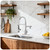 RNDIOZD LED Kitchen Faucet with Pull Down Sprayer, 2-Spout, Brushed Nickel