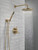 Delta Modern 14 Series Round Rain Shower System Faucet Set, Rainfall Brushed Gold Shower Head and Handle Set, Valve Trim Kit, 10 Inch, Champagne Bronze 342702-CZ