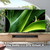 TCL 3.1ch Sound Bar with Wireless Subwoofer (Q6310, 2023 Model), Dolby Audio, DTS Virtual:X, Built-in Center Channel Speaker, Auto Room Calibration, Wall Mount/HDMI Cable Included