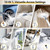 10-in-1 Steam Mop with Detachable Handheld Steam Cleaner