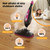 NEWBULIG 14-in-1 Steam Mop, Powerful Detachable Handheld Steam Cleaner for Floor Cleaning with 2 Washable Pads, 16.4 FT Cord, Multi-Purpose Floor Steamer for Hardwood, Clothes, Carpet, Tile, Grout