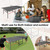 8X4FT Foldable Ping Pong Table,Professional Table Tennis Table with Net, 2 Table Tennis Paddles and 3 Balls - Tournament Quality for Indoor/Outdoor