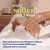 Dr. Scholl’sPedi Perfect4-in-1Pedicure Kit-TheUltimate At-HomeSpa PedicureExperience,FootSoak,ExfoliatingMask,MoisturizingCream,Pumice StoneCallusRemover,SoftSmooth FeetinMinutes,1 Count (Pack of 12)