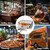 PYY Pizza Oven Indoor Electric Countertop Commercial Pizza maker with Crumb Tray Stainless Steel Pizza Cooker Machine for Home