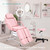 Felivine Pink Tattoo Chair for Client with Hydraulic Rolling Stool, Tattoo Client Chair Facial Bed Chairs for Esthetician, Tattoo Table Esthetician Beds Facial Beds with 2 Trays for Spa Beauty