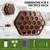 Laetass Wood Spice Rack Wall Mount/Countertop 2 in1 with 24 Glass Jars