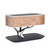 MODIRNATION Bonsai Modern LED Bedside Smart Table Lamp with Built-in TWS Bluetooth Speaker and Qi Wireless Charger for Home and Office, Stepless Dimming with Sleep Mode (Lights of Life)