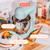 Stand Mixer 3.5 Qt, Compact Tilt-Head Electric Food Mixer for Baking (Hydrangea)