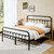 zunatu Queen Size Metal Bed Frame, Victorian Style Headboard and Footboard