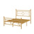 Allewie Queen Size Metal Platform Bed Frame, Victorian Headboard, Gold