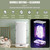 Automatic Ironing Machine Portable Wireless Vertical Steam Iron 900w with Hanging Dryer Function, Steam Closet for Clothes & Fabric, One-Key Care, Quick-Drying Steam and Wrinkle Removal