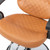 OmySalon Salon Chair for Hair Stylist, Camel Barber Chair for Barbershop/Home, Hydraulic Stylist Chair with Footrest, Hairdressing Beauty Spa Braiding Equipment