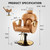 KIGOTY Salon Chair for Hair Stylist, 360° Swivel Reclining Barber Chair for Barbershop, Height Adjustable Hair Chairs, Hairdresser Braiding Styling Chairs, Beauty Spa Equipment (Brown)