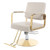 Purptarol Adjustable Barber Shop Beauty Chair, 360° Rotating Salon Chair for Hair Stylist, Stainless Steel Hairdressing Equipment,Max Load Weight 440 Lbs (Beige + Gold)