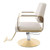 Purptarol Adjustable Barber Shop Beauty Chair, 360° Rotating Salon Chair for Hair Stylist, Stainless Steel Hairdressing Equipment,Max Load Weight 440 Lbs (Beige + Gold)