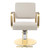 Purptarol Adjustable Barber Shop Beauty Chair, 360° Rotating Salon Chair for Hair Stylist, Stainless Steel Hairdressing Equipment,Max Load Weight 440 Lbs (Beige + Gold)