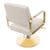 Purptarol Adjustable Barber Shop Beauty Chair, 360° Rotating Salon Chair for Hair Stylist, Stainless Steel Hairdressing Equipment,Max Load Weight 440 Lbs (Beige + Gold)