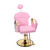 Salon Barber Chair, 360° Barber Chair Salon Chair for Hair Stylist, Adjustable Height, Chrome Base, Durable Frame & Footrest, Swivel Styling Braiding Hairdresser Chair for Home Barbershop (PINK 2)