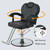 Reclining Salon Chair for Hair Stylist for Home, 360 Swivel Salon Syling Chair for Hair Stylist with Adjustable High，Barber Chairs & Hair Chairs with Heavy Duty Hydraulic Pump, Footrest (Black)