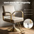 Dziwenul 1PCS Swivel Styling Salon Chair with Hydraulic Pump, Gold + Beige