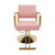 Yykniey Salon Chair, Pink Gold Hydraulic Barber Styling Chair 330lbs - Pink