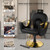 LUXMARS Barber Chair Reclining Salon Chair Hydraulic Barber Chairs 360 Degrees Rolling Swivel Hair Styling Chair Cutting Chairs Salon Shampoo Equipmen (BLACKNEW)