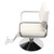 JDINAAS 360° Salon Styling Chair, Adjustable Height 31.9-35.4in Barber Salon Chair 440 lbs Capacity Hairstylist Chair with Silver Armrest for Hair Salons and Beauty Salons 22.4 x 23.6 x 35.4 in Beige