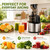 Juicer Machines, Stainless Steel Slow Masticating Juicer