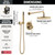 Delta Modern 14 Series Round Rain Shower System Faucet Set, Rainfall Brushed Gold Shower Head and Handle Set, Valve Trim Kit, 10 Inch, Champagne Bronze 342702-CZ