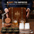 Cocktail Smoker Kit with Torch and 2 Glasses, 4oz Wood Chips 6 Flavors