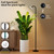 chiphy 60W Torchiere Floor Lamp, 76'' Dimmable Tall Lamp, Sky Floor Lamp
