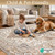 CloudParadise 8x10 Area Rugs Living Room Rug: Soft Vintage Washable Rug