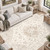 DCX 4x6 Washable Area Rug for Living Room, Non Slip Low Pile Rug, Beige