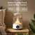 LEVOIT Smart Humidifier for Bedroom, 4.2L Top Fill Cool Mist for Large Room