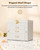 Enthralite Modern Jewelry Organizer for Women: 4-Layer Box with Clear Lid