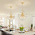 Firedanz Crystal Chandelier Ceiling Pendant Light, Height Adjustable