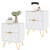 Nightstand Set of 2, Modern Bedside Table with 2 Drawers Storage, White