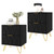 Nightstand Set of 2, Modern Bedside Table with 2 Drawers Storage, Black