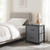Nightstand with 2 Fabric Drawers, Bedside End Table for Bedroom Grey