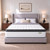 Vivantixs Queen Mattress,12 Inch Queen Size Mattress in a Box, Medium Firm