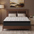 HAOREN Queen Mattress, 10 Inch Medium Firm Hybrid Mattress in a Box