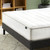 Zinus 6 Inch Twin Foam and Spring Hybrid Mattress, Medium Firm Feel