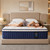 SAILLINK 14" Queen Hybrid Mattress in a Box, Firm Mattress Memory Foam & Pocket Coil Mattress for Pressure Relief, Motion Isolation, Enhanced Edge Support (Queen (U.S. Standard), 14" Firm)