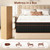 Skyark Queen Mattress, 10 Inch Hybrid Mattress in a Box,Luxury, Medium Firm