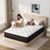 Skyark Queen Mattress, 10 Inch Hybrid Mattress in a Box,Luxury, Medium Firm