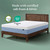 Zinus 10 Inch Queen Cooling Essential Memory Foam Mattress, Medium Feel