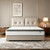 Vivantixs Queen Mattress,12 Inch Queen Hybrid Mattress in a Box,Medium Firm